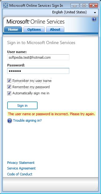 microsoft online services sign in.